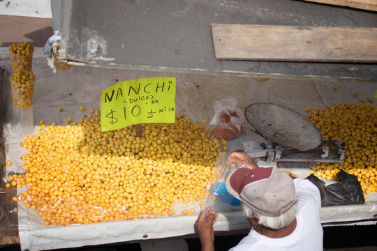 Nanche fruits on the market