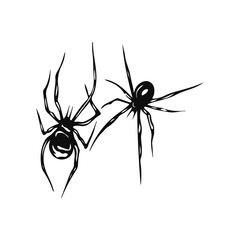 vector illustration of two spiders