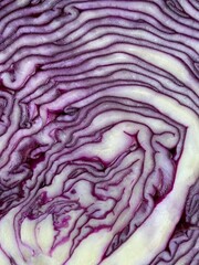 Close up of a purple cabbage pattern