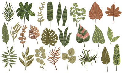  Boho plant collection, tropical leaves set, printable plant vector set, botanical elements