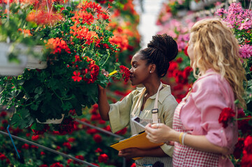 Multiracial female florists working in a green house plant nursery and using tablet