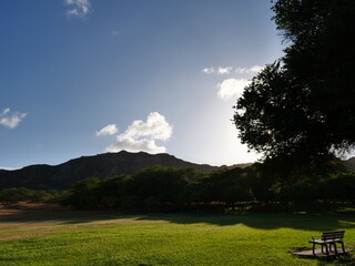 bench in the park