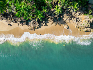 An aerial view of a tropical sandy beach with rocks palm trees and blue ocean. Location Rincon, Puerto Rico. - obrazy, fototapety, plakaty