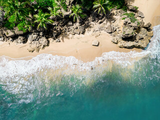 An aerial view of a tropical sandy beach with rocks palm trees and blue ocean. Location Rincon, Puerto Rico.