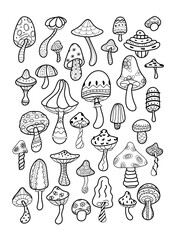 Coloring book. Beautiful openwork mushrooms of various types and shapes on a white background. Hand-drawn. All objects are separated. Vector illustration.