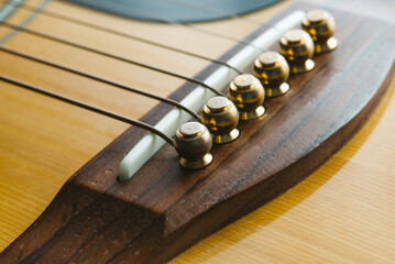 Guitar string holder made from animal bone.