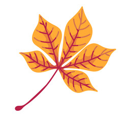 Yellow autumn leaf of chestnut tree.Vector graphics.