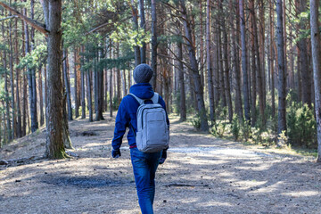 Fototapeta premium one man walks in a pine forest in the spring during the cold season