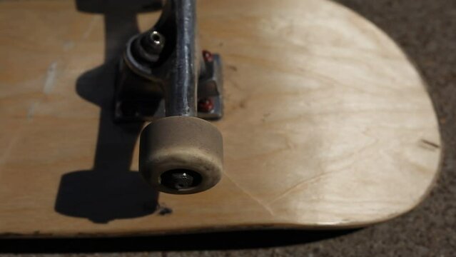 Skateboard Wheels Rolling Mid Afternoon Sunlight Outdoor Lighting