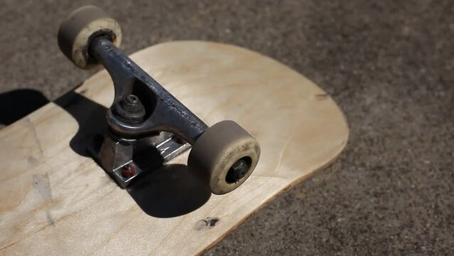 Skateboard Wheels Rolling Mid Afternoon Sunlight Outdoor Lighting