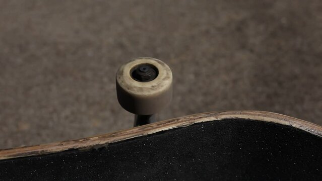 Skateboard Wheels Rolling Mid Afternoon Sunlight Outdoor Lighting