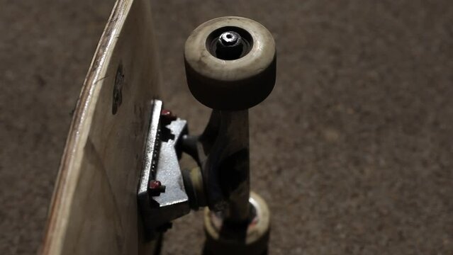 Skateboard Wheels Rolling Mid Afternoon Sunlight Outdoor Lighting