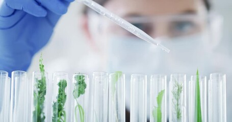 Biology, plant science and research with leaf, nature and environment growth in laboratory test tubes. Zoom on scientist, carbon capture engineer and biologist woman with eco sustainability mindset - Powered by Adobe