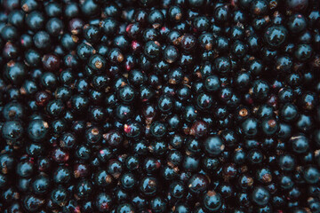 Top view of blackcurrant berries. Background of ripe blackcurrant. The concept of organic food.