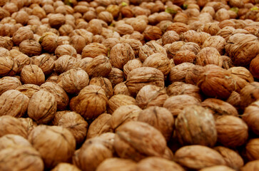  Nueces