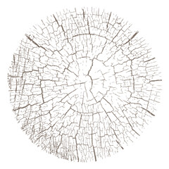 Texture of cracked end of old wooden log