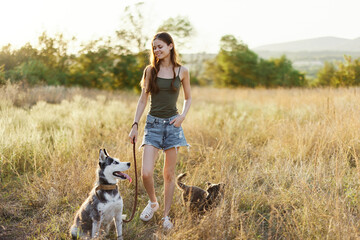 A woman walks with her husky dog ​​on a leash in a field on the way to the forest in nature, hiking with a dog under the summer sun