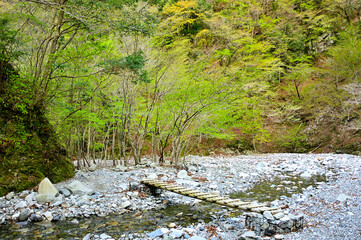丹沢の大室山　犬越路南コース　用木沢を渡る木橋
