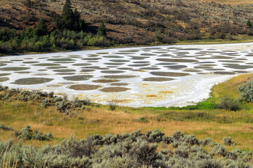 Spotted Lake Osoyoos Similkameen Valley