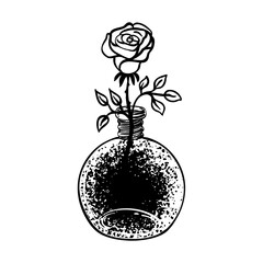 Blackwork tattoo flash. Rose flower in round bottle. Highly detailed vector illustration isolated on white. Tattoo design, mystic symbol. New school dotwork. Boho. Print, posters, t-shirts, textiles.