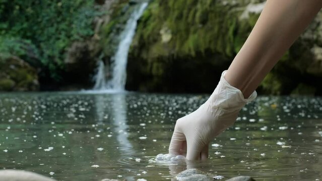 Scientist ecologist taking a water sample in the forest
