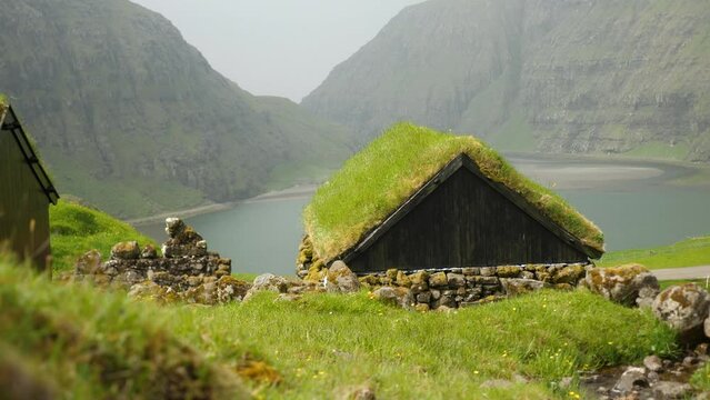 Old faroese houses in the middle of nature. Typical old house in Faroe Islands with a Grass rooftop. Grass covered house. Faroese mist nature with a lonely houses. High quality 4k footage. 