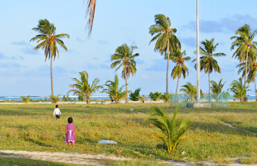 Kids playing under palm trees on Maldive islands