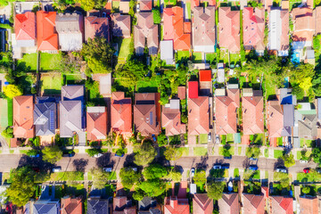 D Chats top down rows dense