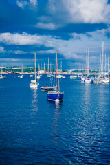 Fototapeta premium boats in the harbour