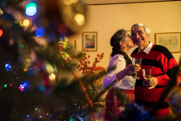 Senior Husband and Wife Tender Kiss and Hug While Decorating a Christmas Tree