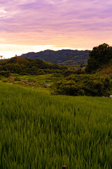 下赤坂の棚田の夕景