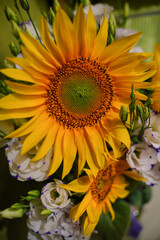Bouquet of flowers with sunflowers and white Chinese roses on a green background