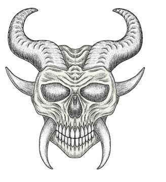 skull of a skull