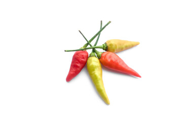 Isolated Karen organic ripe hot pepper on white background. Asian spicy ingredient food concept.