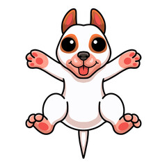 Cute bully kutta cartoon posing