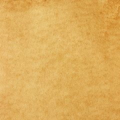 Old Paper texture. vintage paper background or texture; brown paper texture.