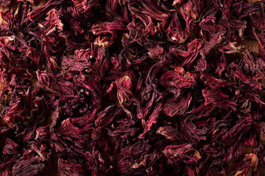 Hibiscus Sabdariffa. Also known as Jamaica, red guinea sorrel, rosella and various other names depending on the country or region. Commonly used in infusions and known for its medicinal properties.