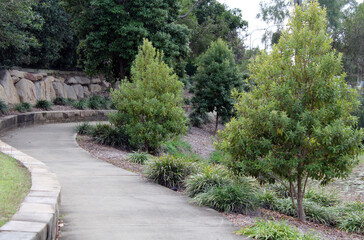 Cement path in a park with plants, trees and grass