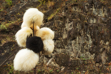 Georgian hat on a wooden hanger. sale of caucasian hat in a tourist place. hats made of wool for the mountains in the mountains of georgia