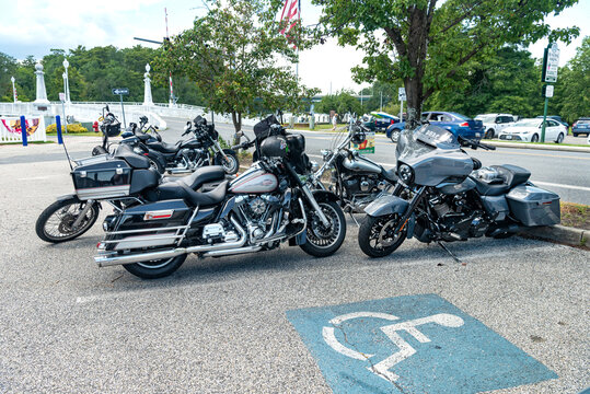 Several Harley Davidson Motorcycles in the Parking Lot,