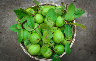 Fresh and Green Guava Fruit in the Market