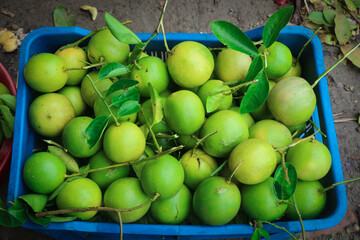 Fresh Green Lemons in the Market