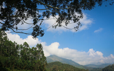 Mountain View from Mattupetty Dam, Munnar, Kerala, India