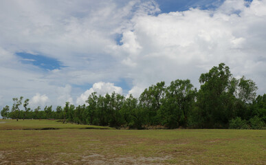 Fototapeta premium Cloudy Sky near Guliakhali Sea Beach, Chattogram, Bangladesh