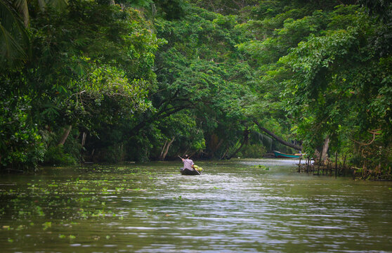 Natural Beauty in the Rural Areas of Barishal, Bangladesh