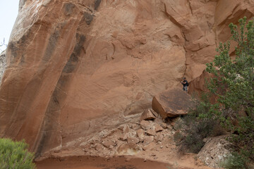 Pictographs at Catstair Canyon, Arizona, USA
