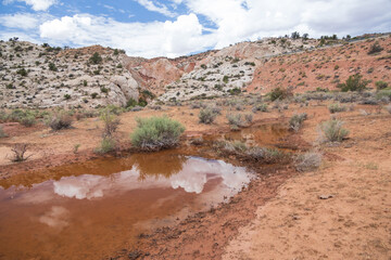 Mud puddle with cloud reflections at Catstair Canyon, Arizona, USA
