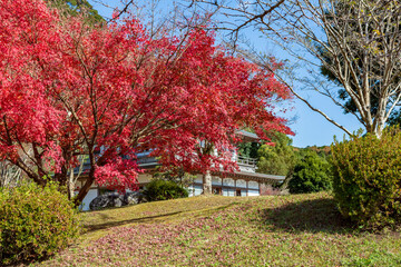 岩屋公園の秋の風景	