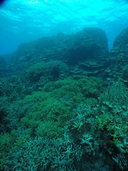 Scuba diving on the reefs of Majuro,Marshall islands.
