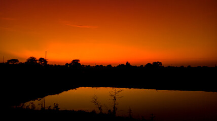 Natural scenery of orange sky in the afternoon. Silhouette of trees against orange sky background at sunrise